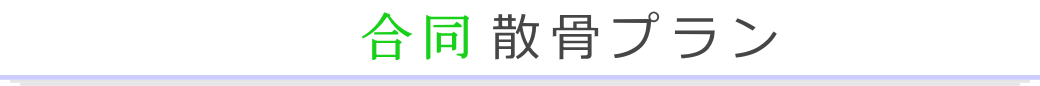 合同散骨　海への散骨プラン