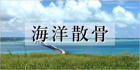 海へでの葬儀　海洋散骨